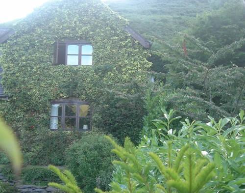 Horseshoe Pass Holiday Lets Llangollen Room photo