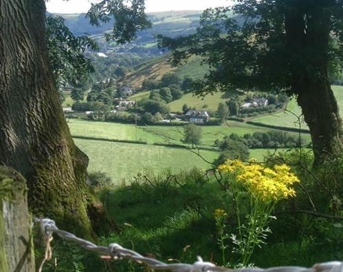 Horseshoe Pass Holiday Lets Llangollen Room photo